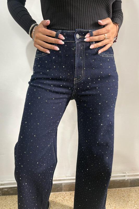 Pantalón tejano brillo
